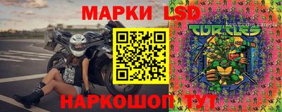 apvp Бердск