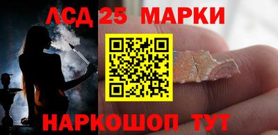 apvp Бердск
