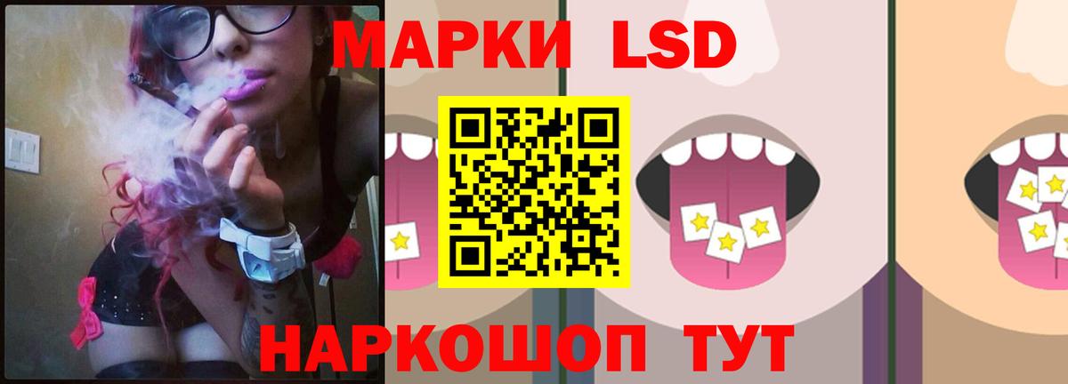 Кингисепп  LSD-25 экстази  ЛСД экстази кислота  Вход с VPN  ЛСД экстази кислота 