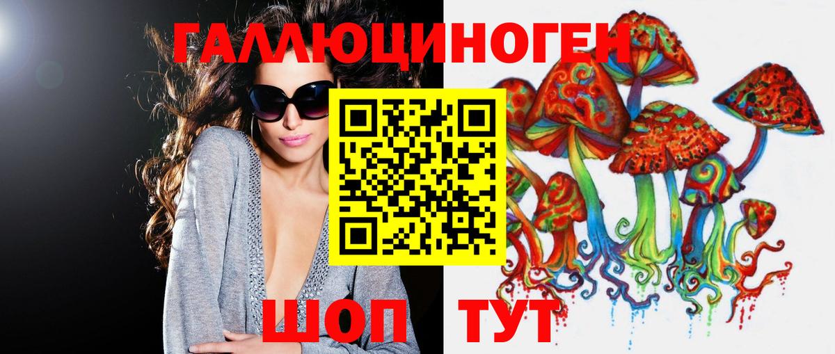 Псилоцибиновые грибы Cubensis Кингисепп